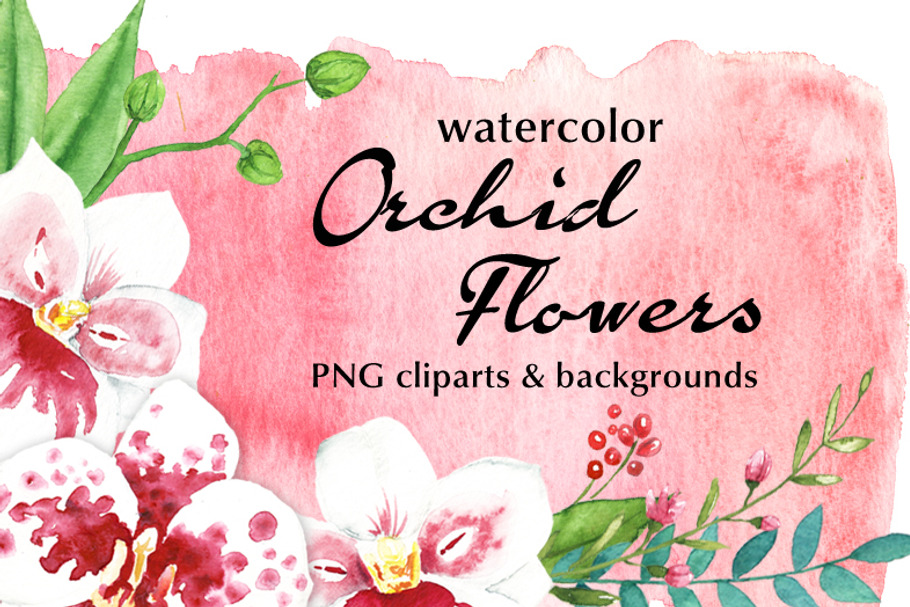 Watercolor Orchid Flowers