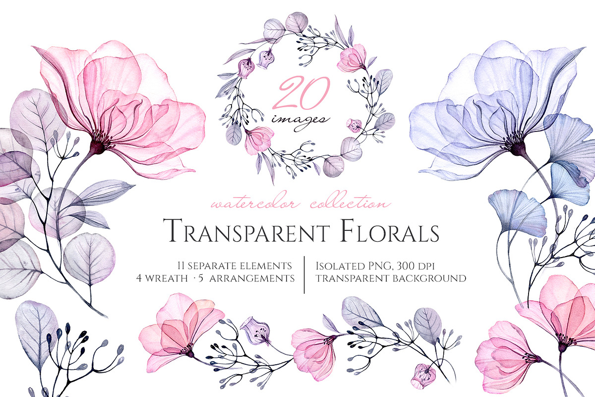 Watercolor Transparent Florals set in Graphics - product preview 8