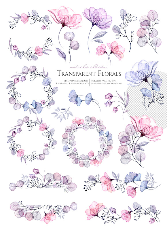Watercolor Transparent Florals set in Graphics - product preview 1