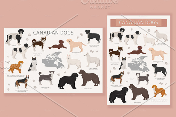 Canadian dogs in Illustrations - product preview 1