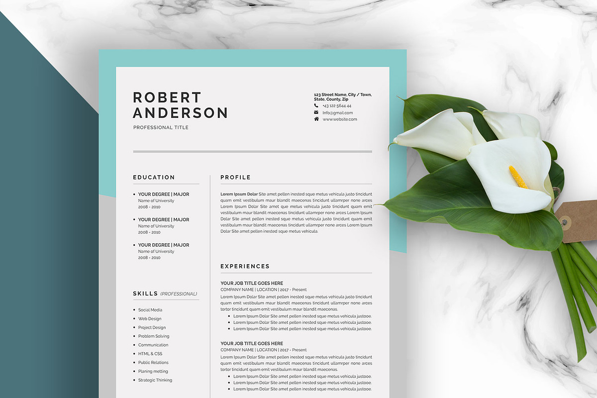 Resume/CV (3 Pages) in Resume Templates - product preview 8