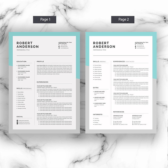 Resume/CV (3 Pages) in Resume Templates - product preview 1