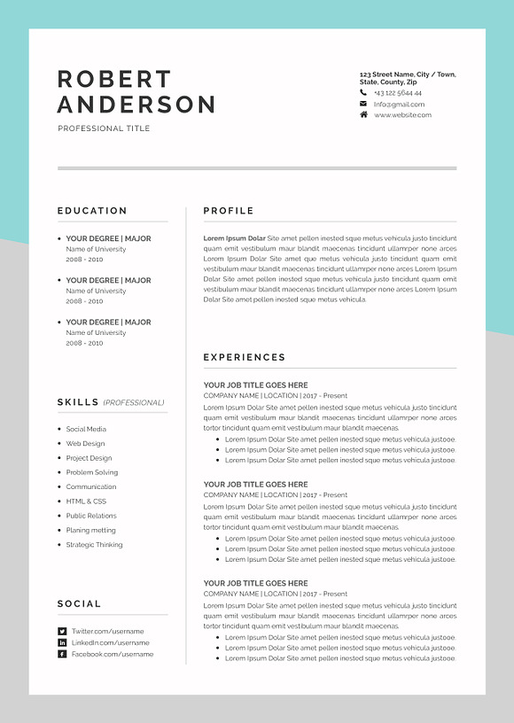 Resume/CV (3 Pages) in Resume Templates - product preview 3