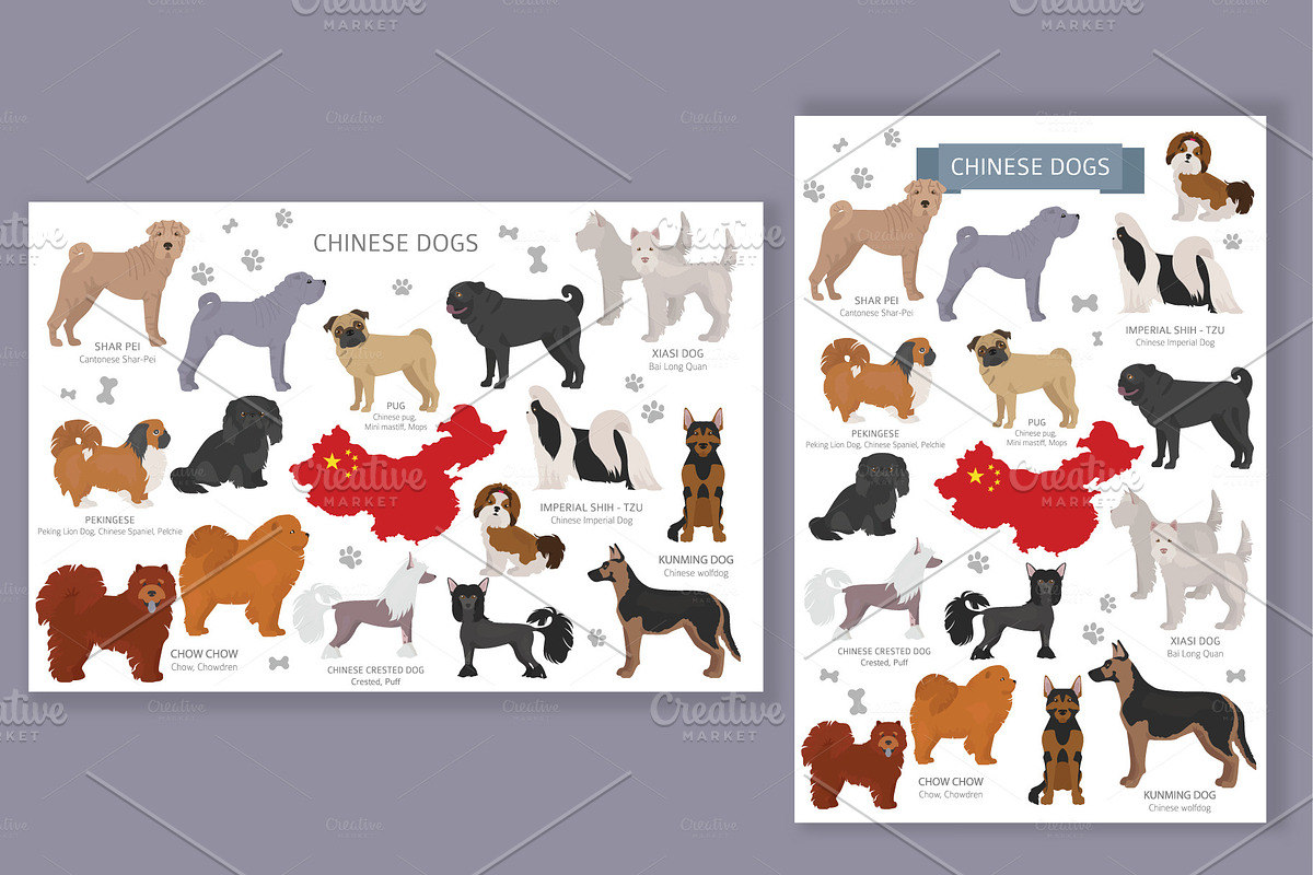 Chinese dogs in Illustrations - product preview 8