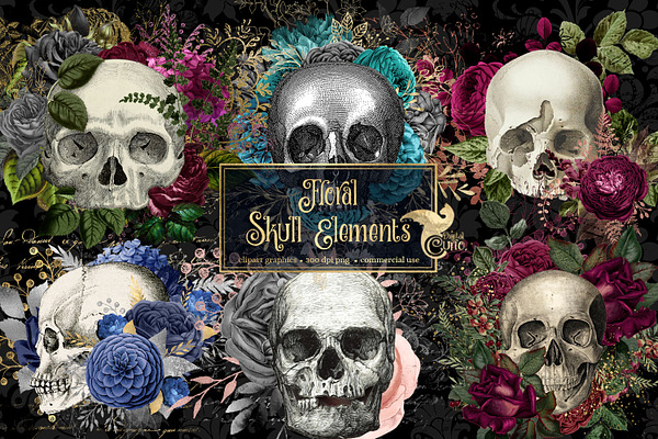 Floral Skull Graphic Elements