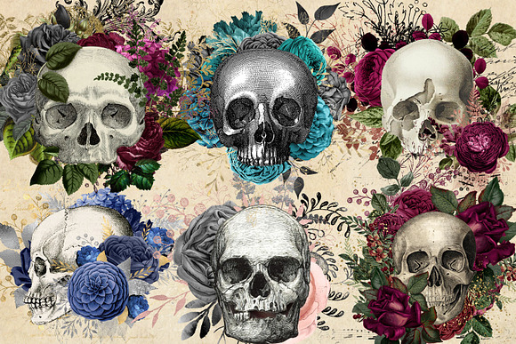 Floral Skull Graphic Elements in Illustrations - product preview 1