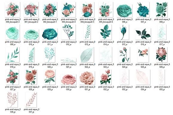 Flush and Aqua Floral Clipart in Illustrations - product preview 3