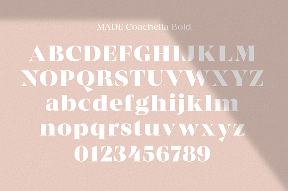 MADE Coachella | 70% Off in Serif Fonts - product preview 6