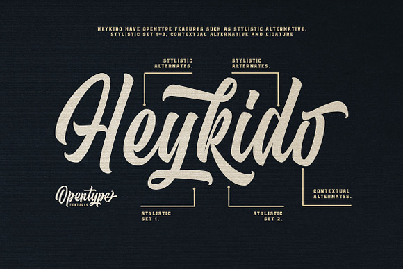 Heykido Script & Serif in Display Fonts - product preview 3