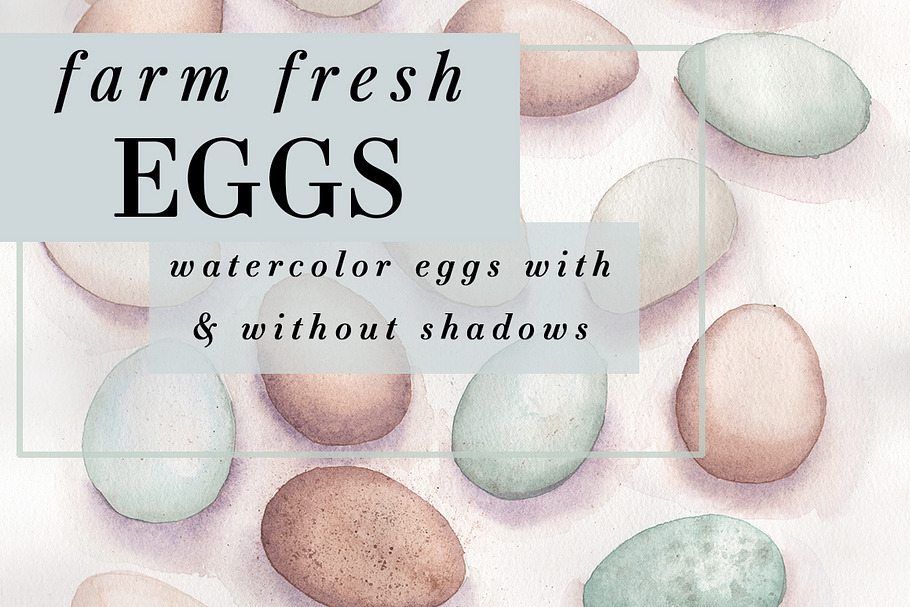 Farm Fresh Eggs in Illustrations - product preview 8