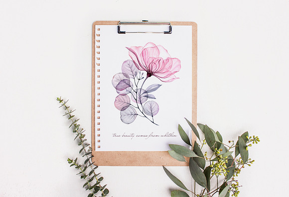 Watercolor Transparent Florals set in Graphics - product preview 2