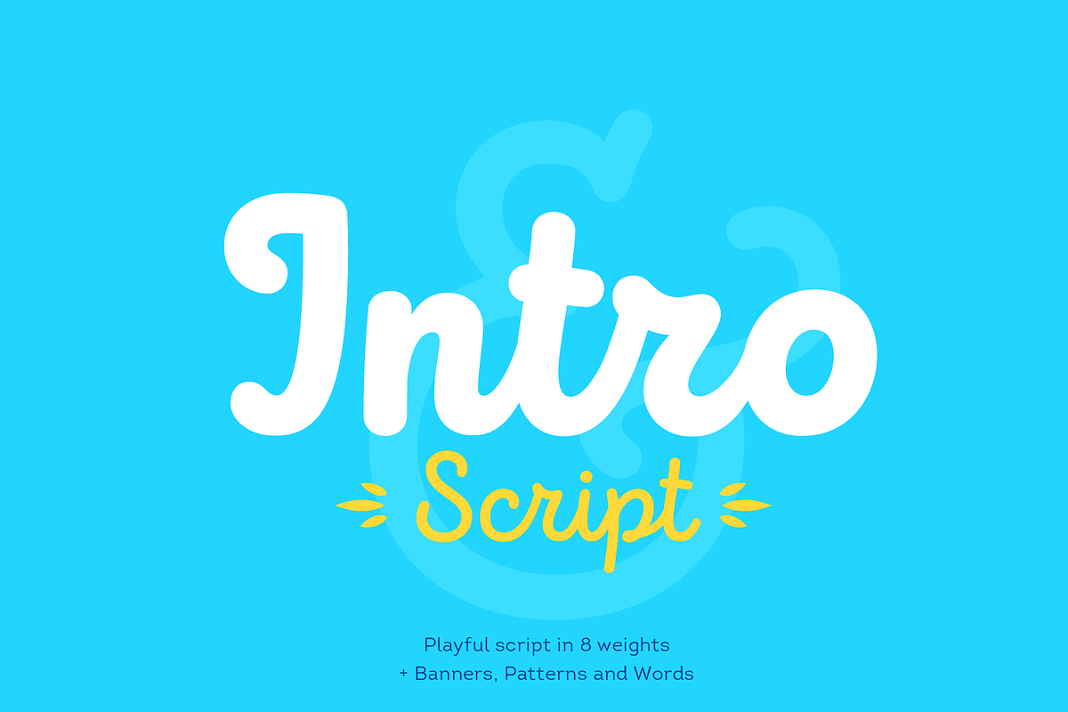Intro Script in Script Fonts - product preview 8