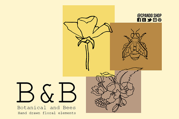 Botanical and Bees Flowers doodles in Illustrations - product preview 1