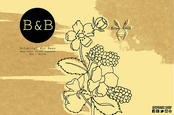 Botanical and Bees Flowers doodles in Illustrations - product preview 2