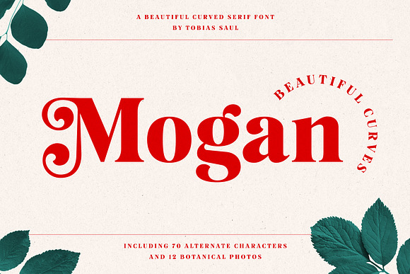 Mogan Font + Extras in Display Fonts - product preview 7