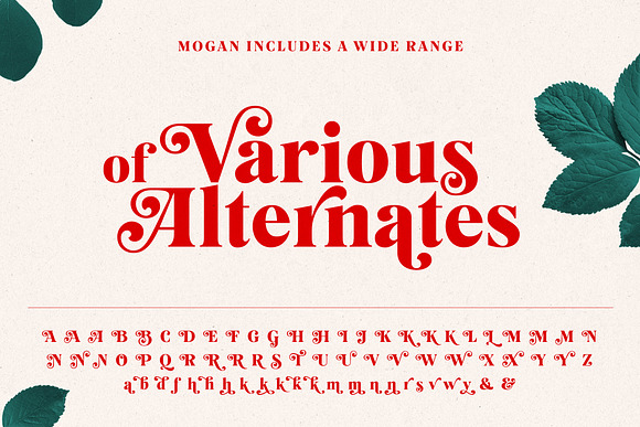 Mogan Font + Extras in Display Fonts - product preview 10