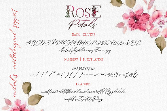 Rose Petals. Font duo + Bonuses. in Script Fonts - product preview 8