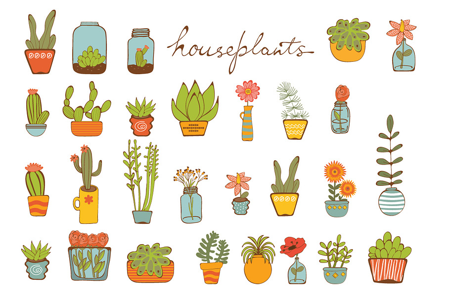 Houseplants in Illustrations - product preview 8