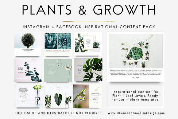 PLANTS & GROWTH Social Media Pack in Objects - product preview 2