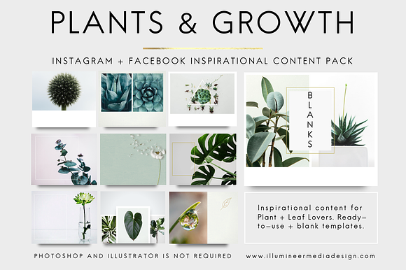 PLANTS & GROWTH Social Media Pack in Objects - product preview 3