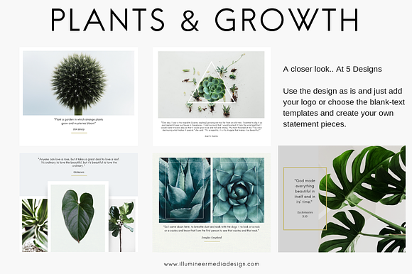 PLANTS & GROWTH Social Media Pack in Objects - product preview 4