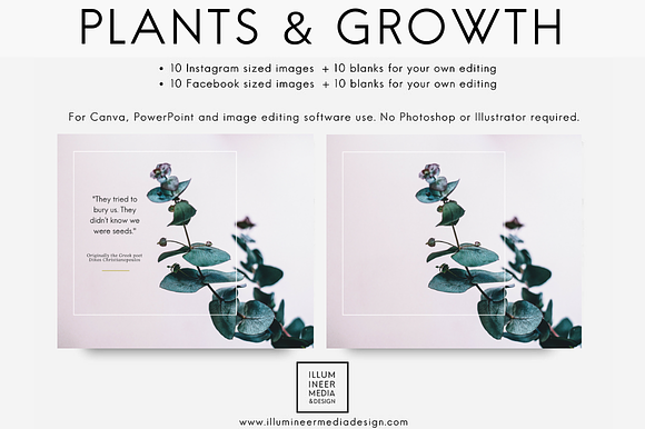 PLANTS & GROWTH Social Media Pack in Objects - product preview 5