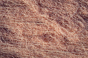 Nylon fishnet filling out background