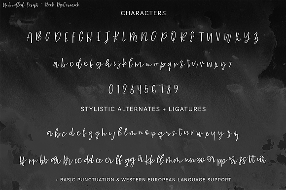 Unbridled Script Font in Script Fonts - product preview 9