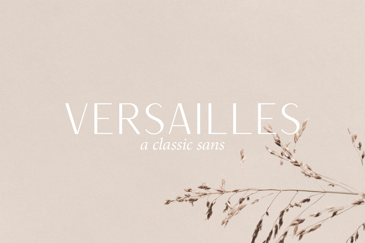 Versailles | A Classic Sans in Website Fonts - product preview 8