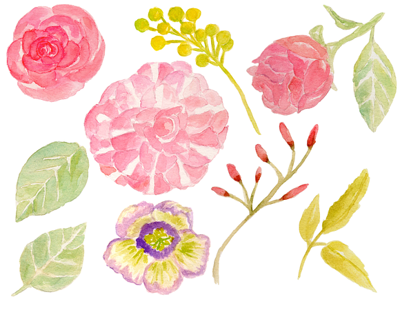 Watercolor Camellia Flowers in Illustrations - product preview 1