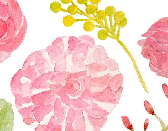 Watercolor Camellia Flowers in Illustrations - product preview 2