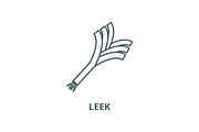 Leek vector line icon, linear