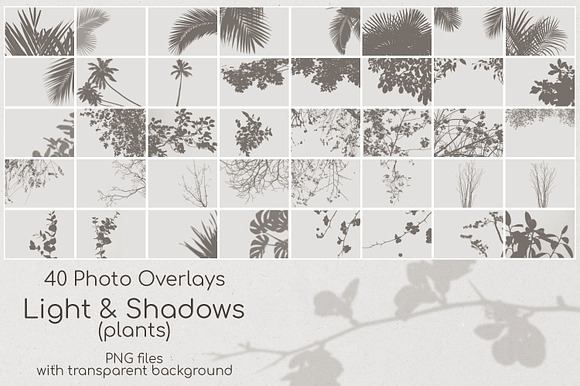 40 Plant Shadows Overlays in Add-Ons - product preview 1