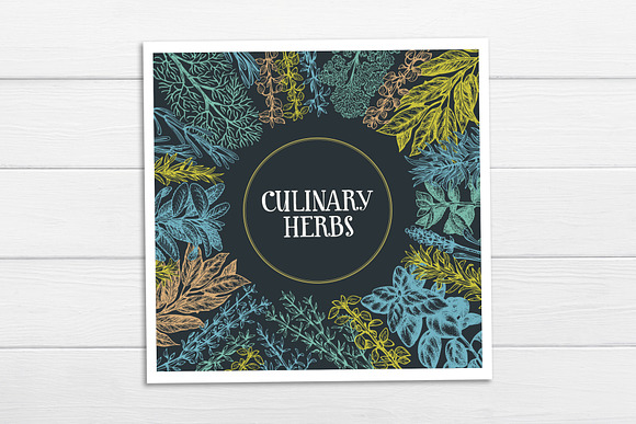 Culinary Herbs Vector Collection in Illustrations - product preview 3