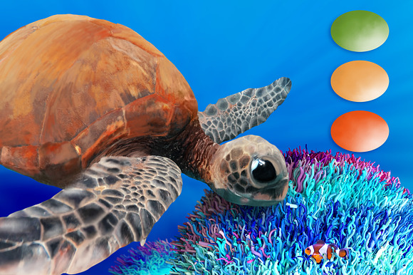Turtle Swatches & Coral Overlays in Photoshop Color Palettes - product preview 1