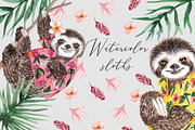 Watercolor Sloths