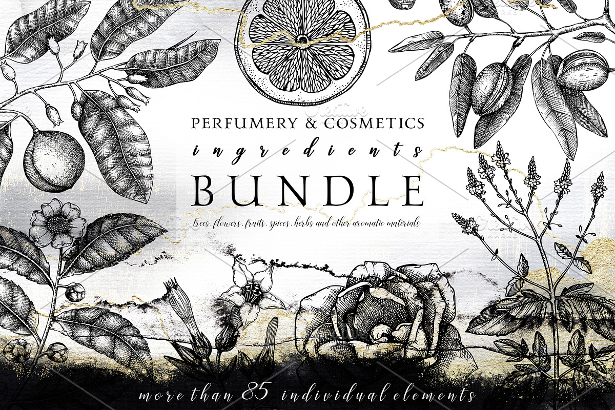 Perfumery Ingredients Bundle in Objects - product preview 8