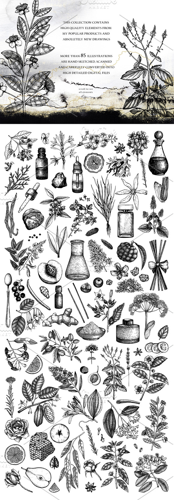 Perfumery Ingredients Bundle in Objects - product preview 5