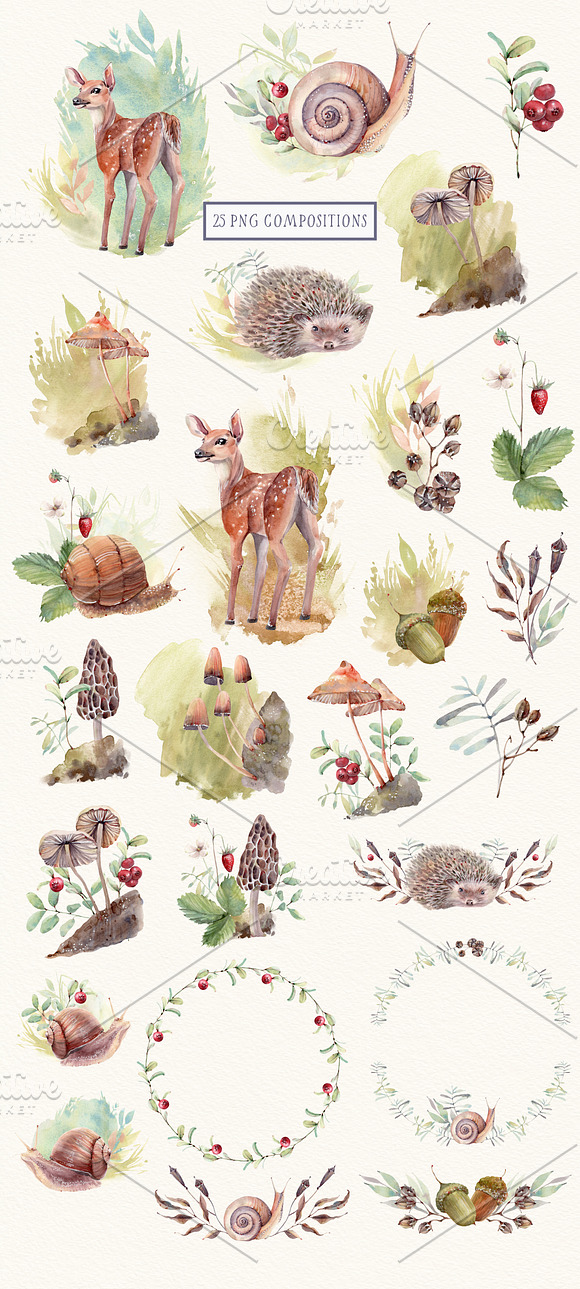 FOREST WALK Watercolor set in Illustrations - product preview 1