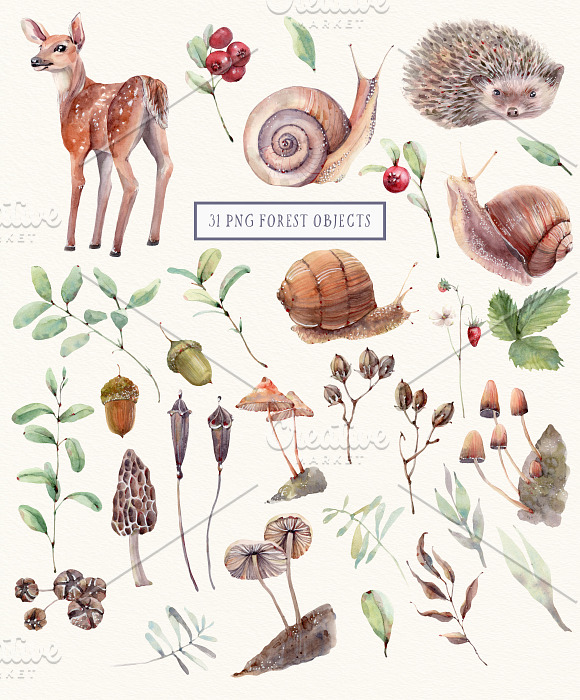 FOREST WALK Watercolor set in Illustrations - product preview 2