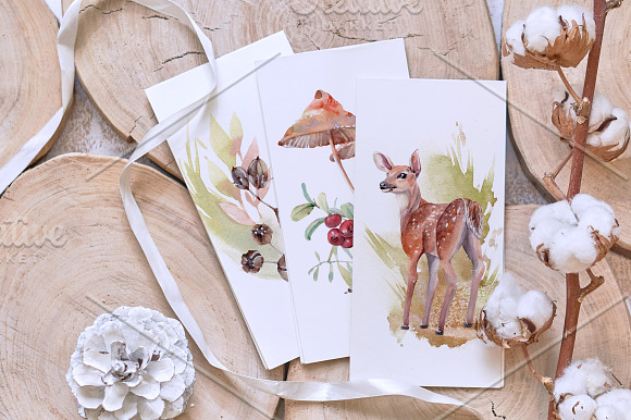 FOREST WALK Watercolor set in Illustrations - product preview 4
