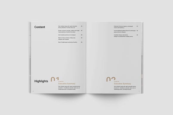 Business Plan in Brochure Templates - product preview 3