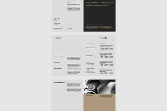 Business Plan in Brochure Templates - product preview 5