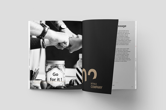 Business Plan in Brochure Templates - product preview 6