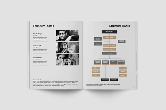 Business Plan in Brochure Templates - product preview 7