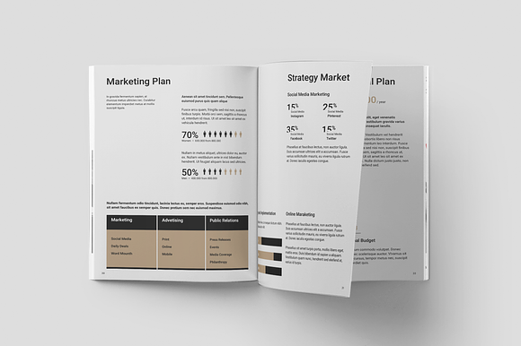 Business Plan in Brochure Templates - product preview 10