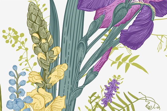 Lovely Garden in Illustrations - product preview 3