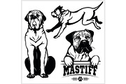 Mastiff dog - vector set isolated