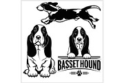 Basset Hound dog - vector set