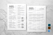 Professional Resume & Cover Letter 2